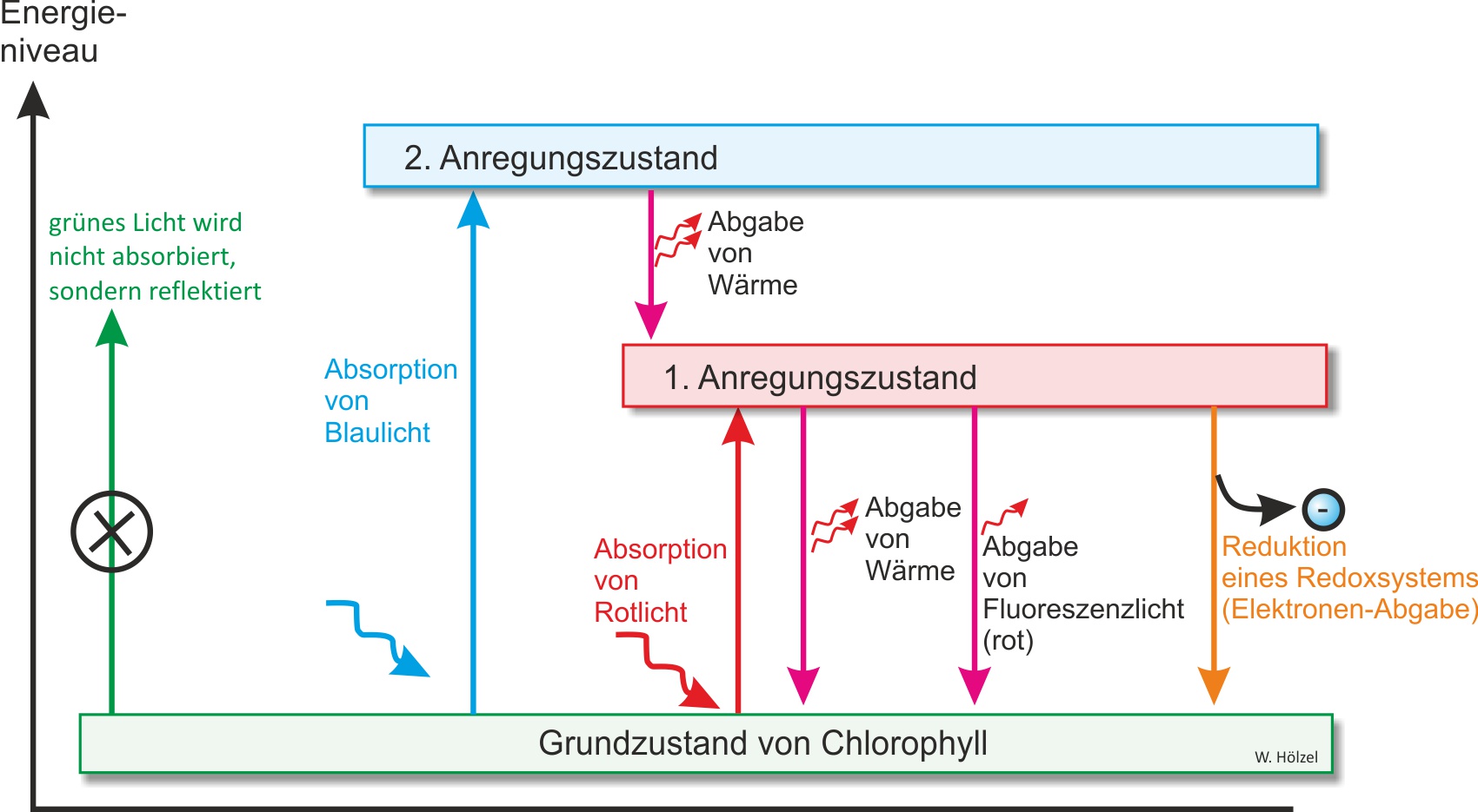 Skizze zur Anregung von Licht unterschiedlicher Wellenlängen