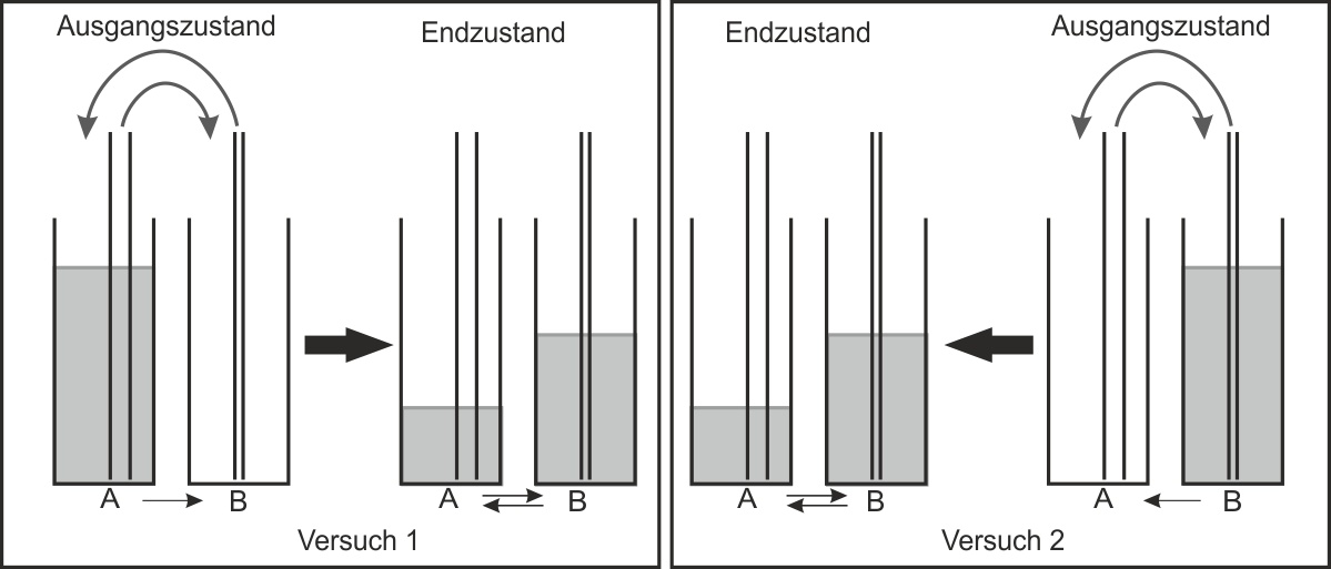 04 ab stechheberversuch   loesung   lehrer
