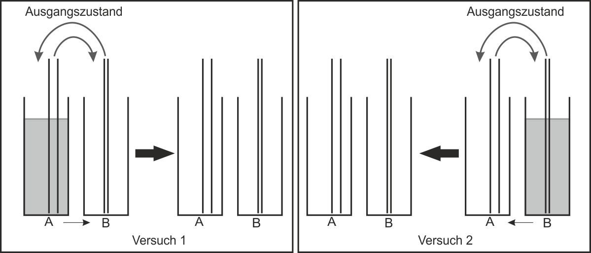 04 stechheberversuch